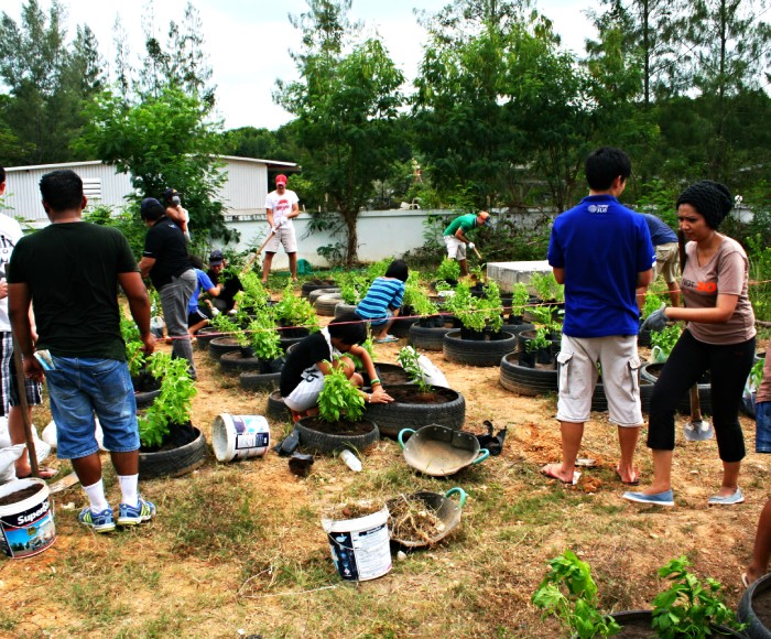 CSR Team Building Activities