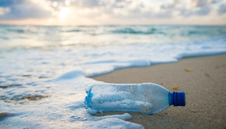 CSR Beach Clean Up