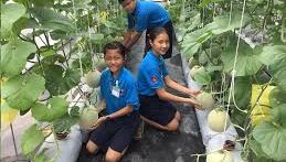 CSR Build a Farm