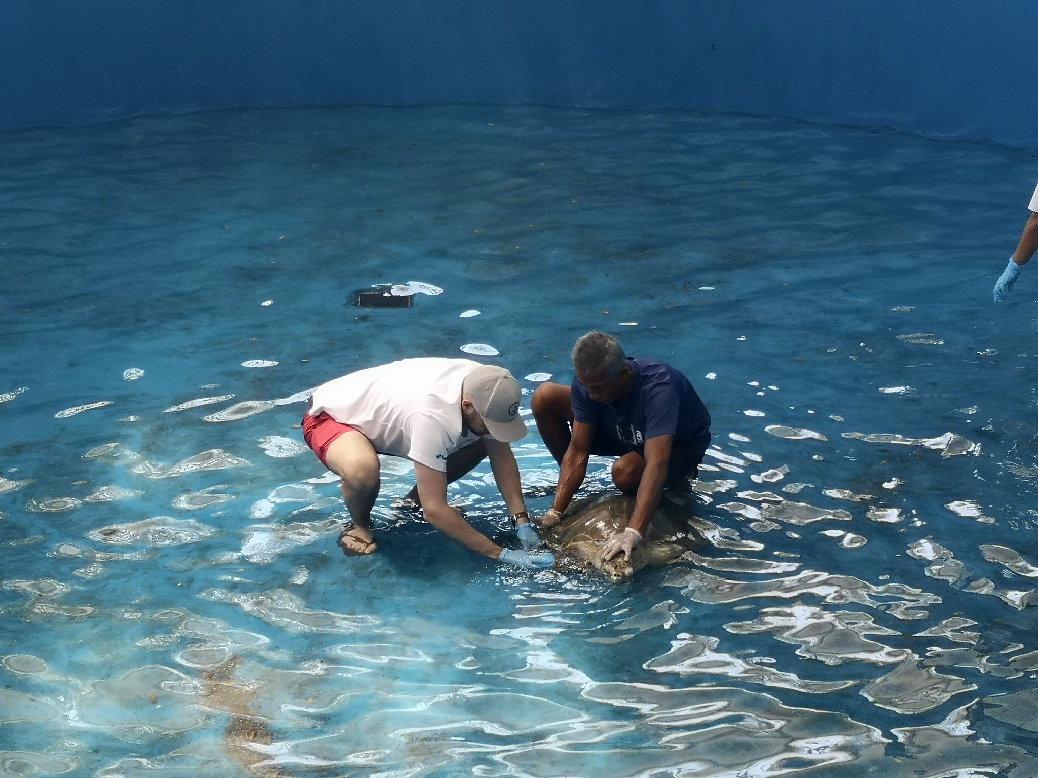 Pattaya Team Building Activities – Making Teams – Team Building Thailand